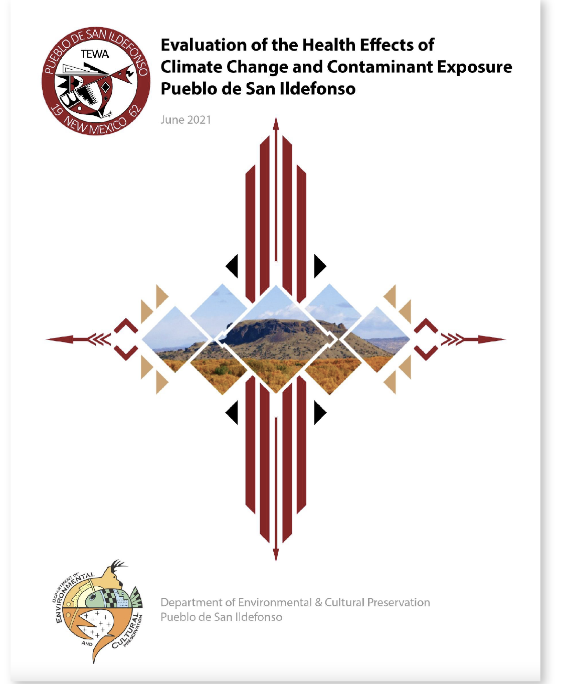 san_resources_green_fire_cover